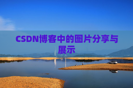 CSDN博客中的图片分享与展示